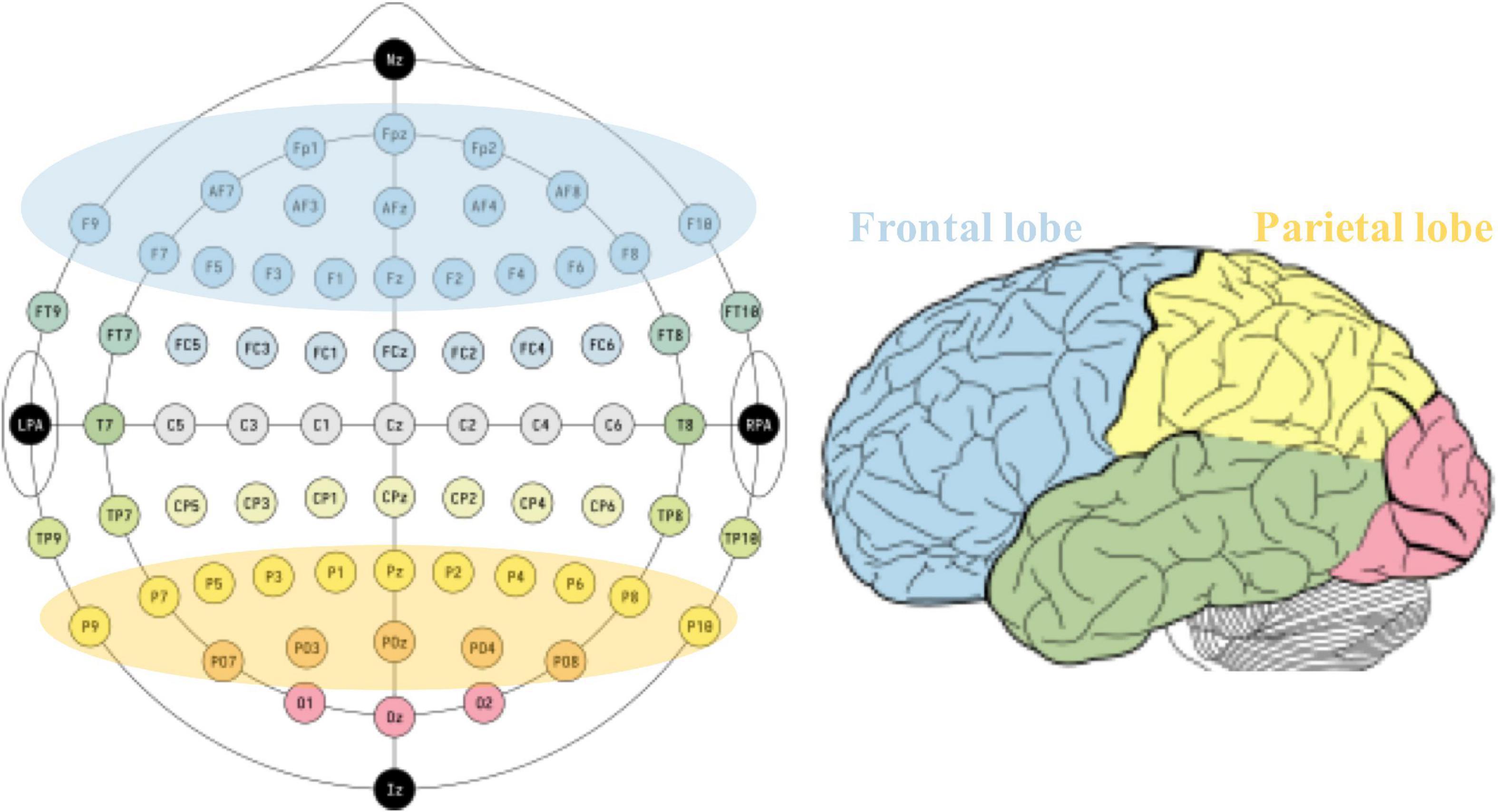 Frontal and parietal lobes play crucial roles in understanding the disorder of consciousness: A perspective from electroencephalogram studies